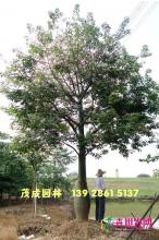 所有产品