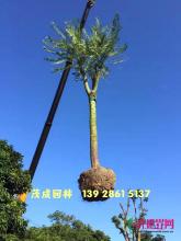 所有产品